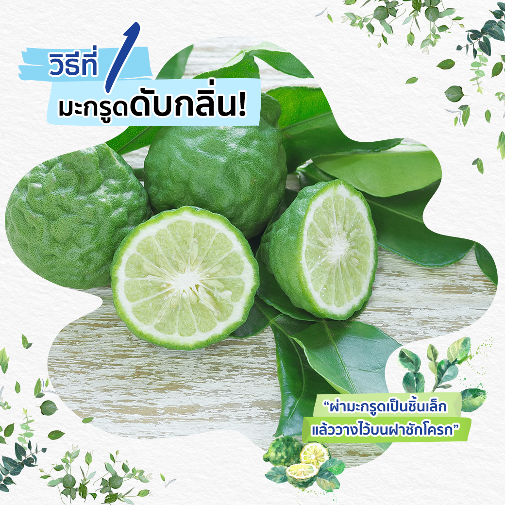 เปลี่ยนกลิ่นอับในห้องน้ำให้หอมสะอาดสดชื่น